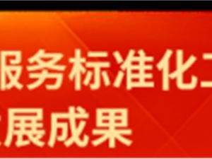 信息技術服務標準 技術服務的基石與導向